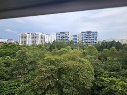Blk 407 Yishun Avenue 6 (Yishun), HDB 4 Rooms #484937031